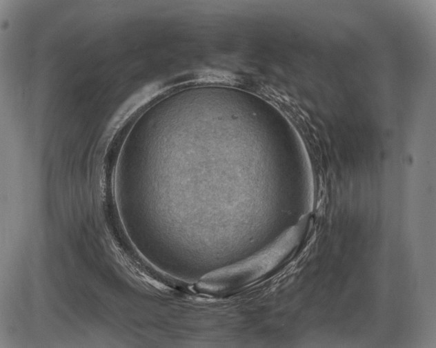 X0000086290247200703301143