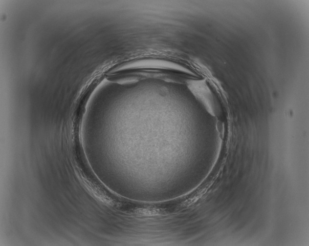 X0000086290250200703301143