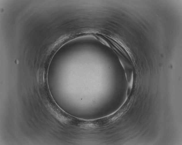 X0000086290253200703301143