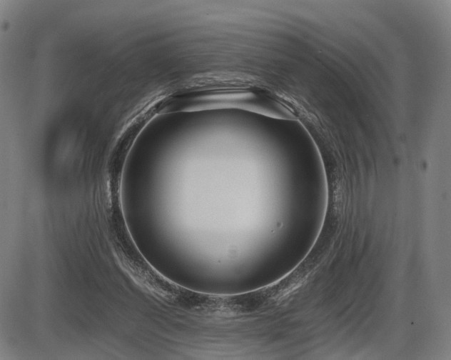 X0000086290254200703301143