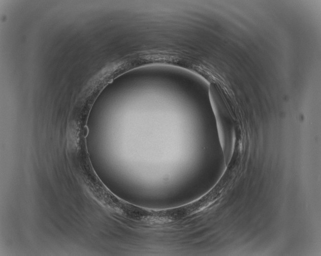 X0000086290255200703301143