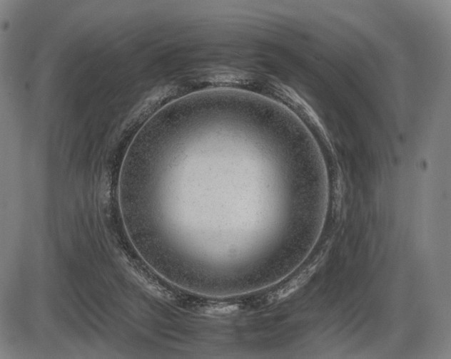 X0000086290257200703301143