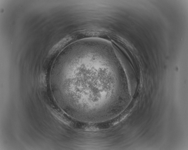 X0000086290258200703301143