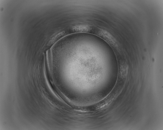 X0000086290259200703301143