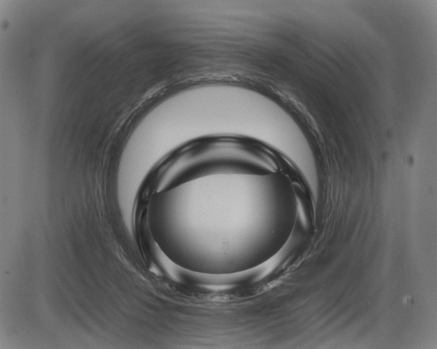 X0000086290260200703301143