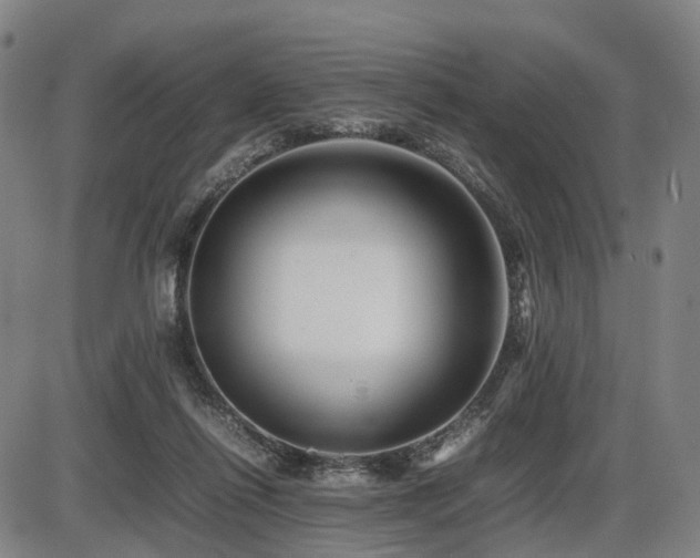 X0000086290262200703301143