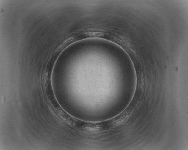X0000086290263200703301143