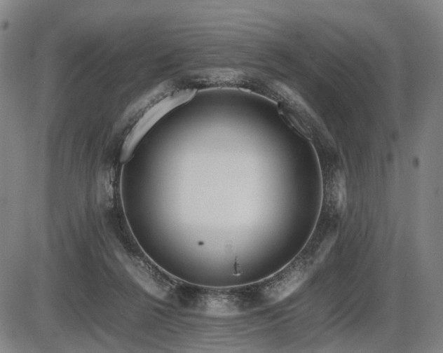 X0000086290264200703301143