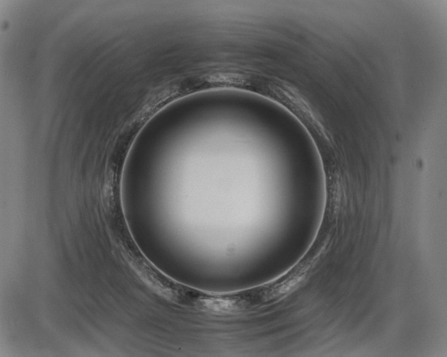 X0000086290265200703301143
