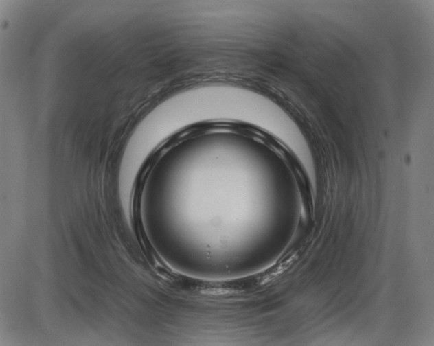 X0000086290268200703301143