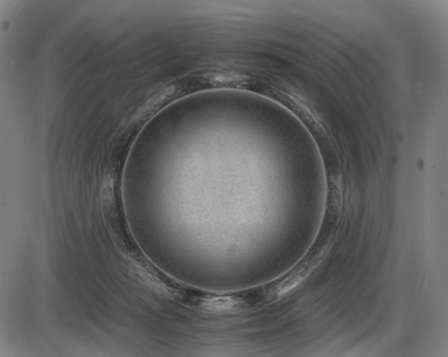 X0000086290269200703301143