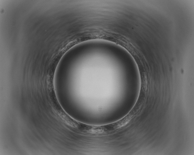 X0000086290270200703301144