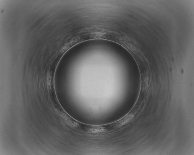 X0000086290274200703301144