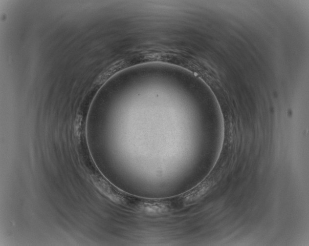 X0000086290275200703301144