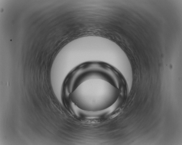 X0000086290276200703301144