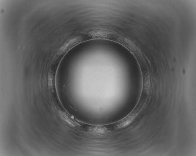 X0000086290282200703301144