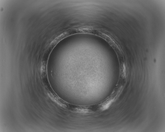 X0000086290284200703301144