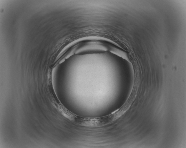 X0000086290288200703301144