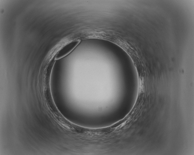 X0000086290291200703301143