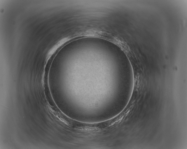 X0000086290292200703301143
