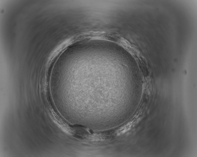 X0000086290293200703301143