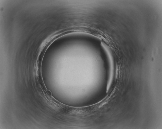 X0000086290294200703301143