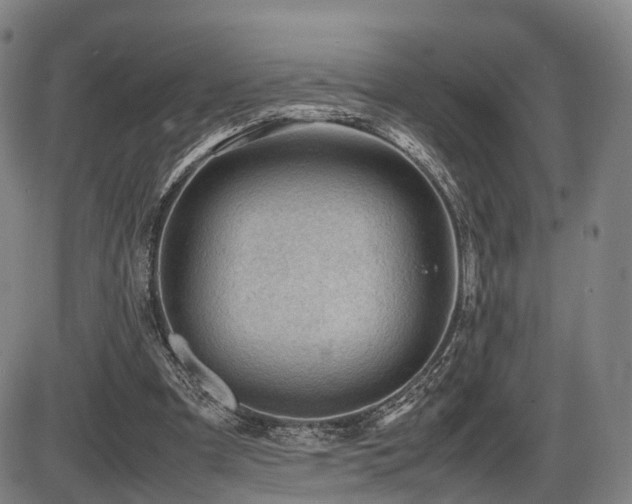 X0000086290297200703301143