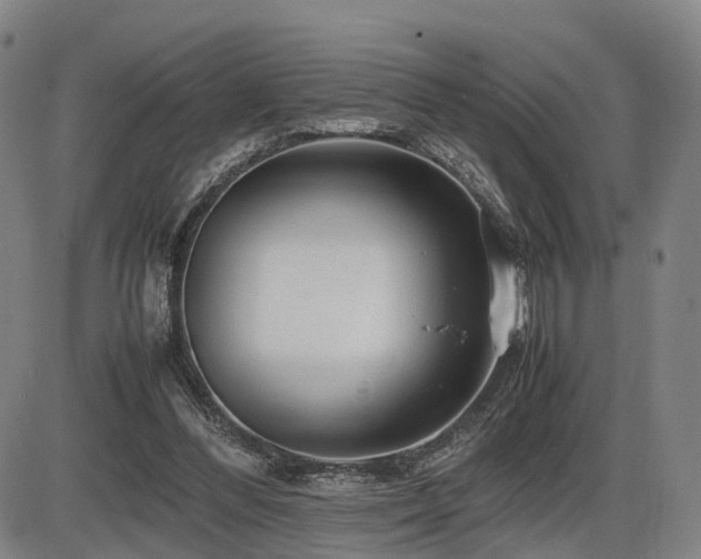 X0000086290300200703301143