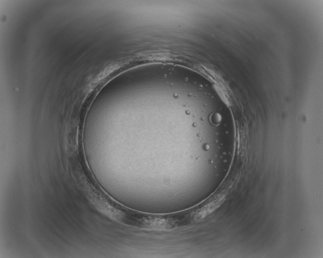X0000086290301200703301143