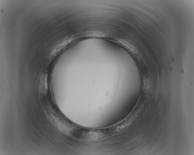 X0000086290302200703301143