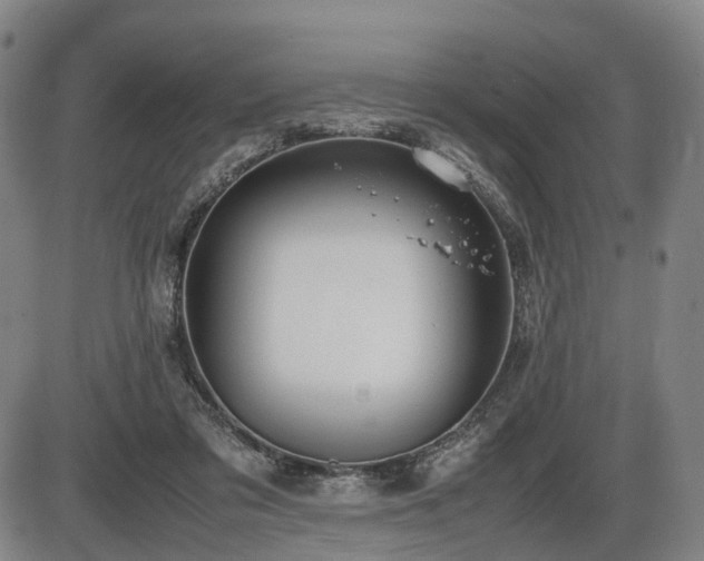 X0000086290309200703301143