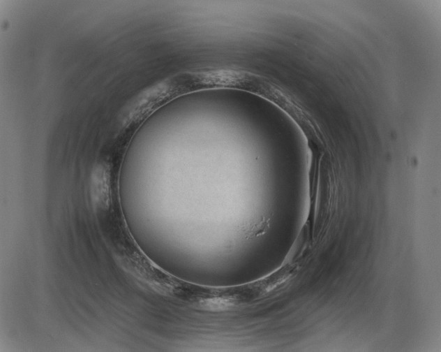 X0000086290312200703301143
