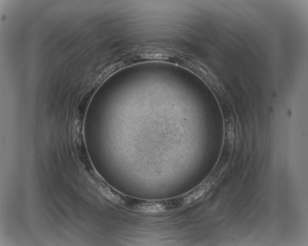 X0000086290322200703301142