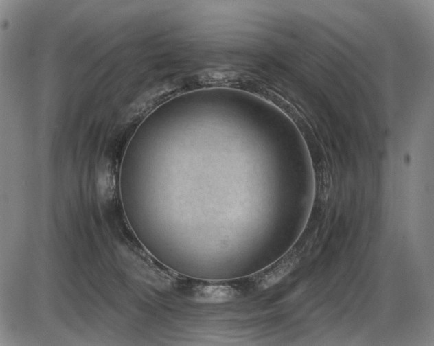 X0000086290324200703301142