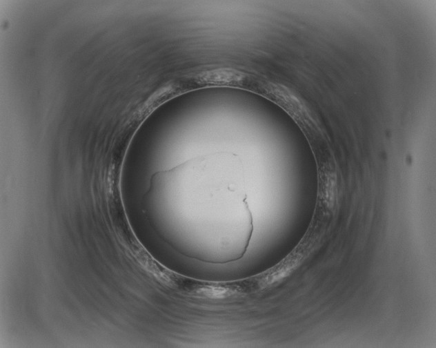 X0000086290326200703301142