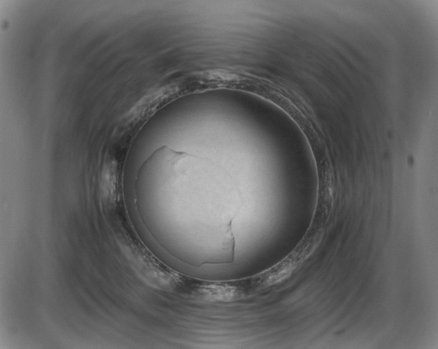 X0000086290328200703301142