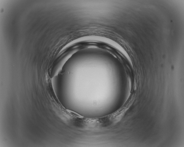 X0000086290333200703301142