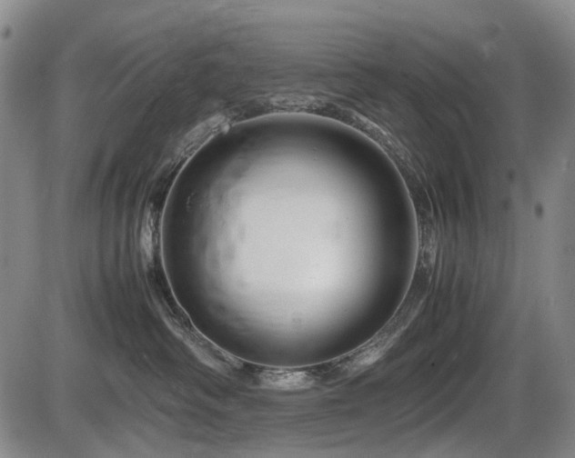 X0000086290334200703301142
