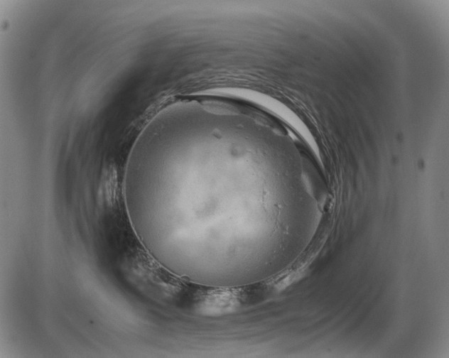 X0000086290335200703301142