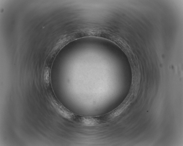 X0000086290336200703301142