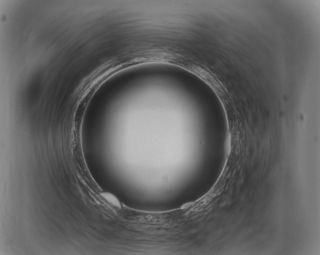 X0000086290338200703301141