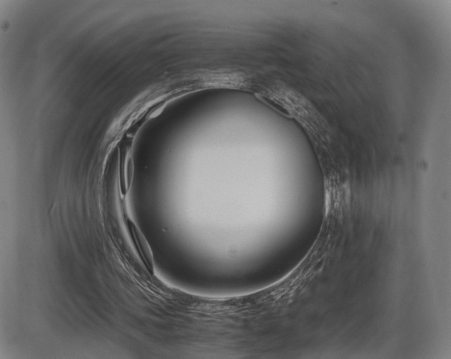 X0000086290339200703301141