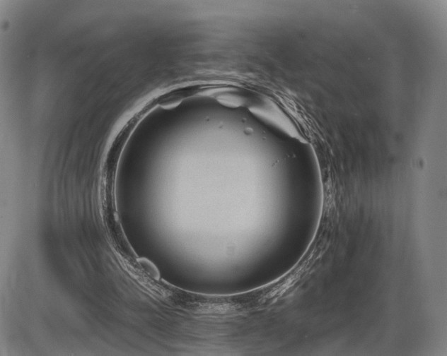 X0000086290342200703301141