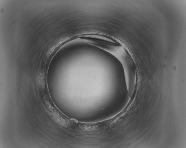 X0000086290345200703301142
