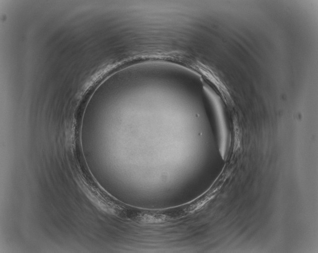 X0000086290346200703301142