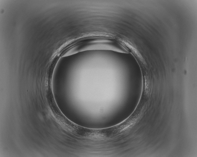 X0000086290348200703301142