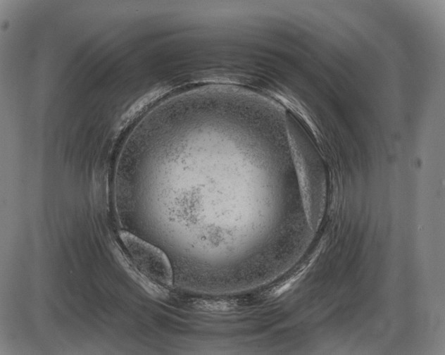 X0000086290349200703301142
