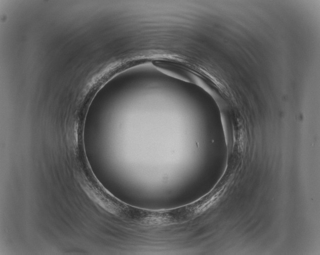 X0000086290350200703301142