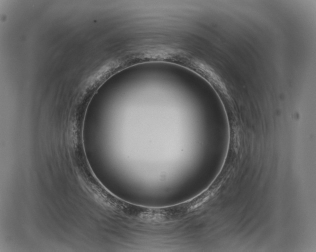 X0000086290354200703301142