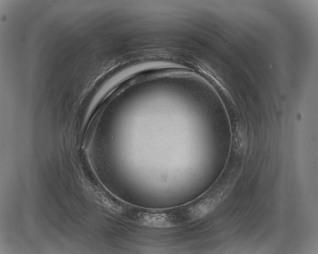 X0000086290355200703301142